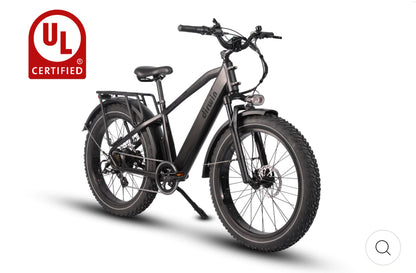 Dirwin Pioneer Fat Tire E-Bike
