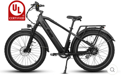 Dirwin Pioneer Fat Tire E-Bike