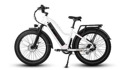 Dirwin Pioneer Step Thru Fat Tire E-Bike