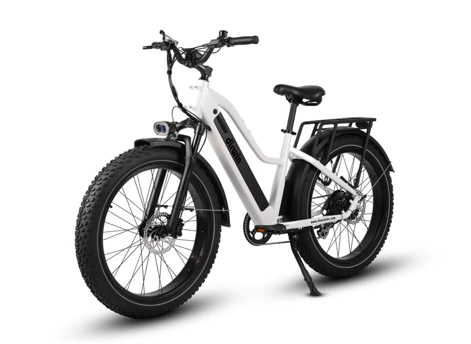 Dirwin Pioneer Step Thru Fat Tire E-Bike